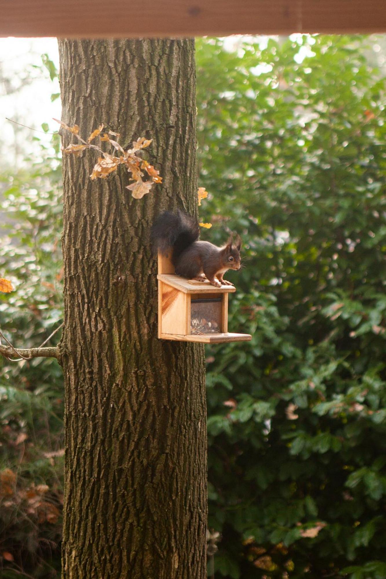 Knus Boshuisje Onder De Eiken Ermelo Bagian luar foto